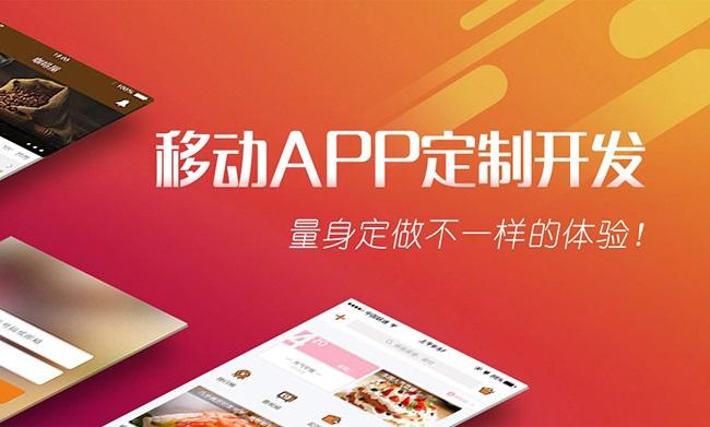 定制化开发：从头构建你的理想app安卓开发