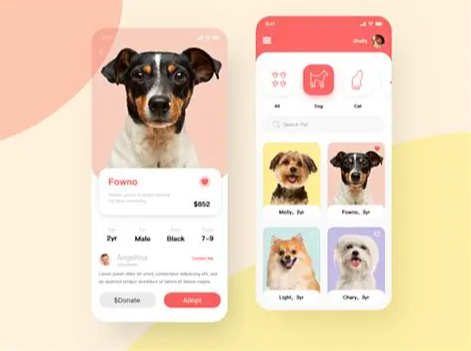 宠物商城APP开发怎么做？